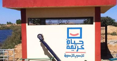 محافظ أسوان يوجه بتكثيف الجهود لمشروعات التنمية بقرى بحيرة ناصر ..صور