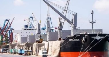 ميناء دمياط يستقبل 61 ألف طن غاز مسال قادمة من النرويج