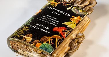 مكتبة الجوائز.. "الحياة المتشابكة" كتاب يكشف أثر الفطريات لتجنب الكوراث البيئية