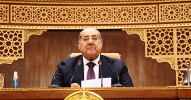 رئيس الشيوخ: نجاح تنظيم مؤتمر المناخ يعكس مكانة مصر وتأثيرها الإقليمى والعالمى