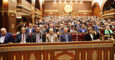 النائب خالد أبو الوفا: قرار البرلمان الأوروبى عن حقوق الإنسان بمصر مرفوض جملة وتفصيلا