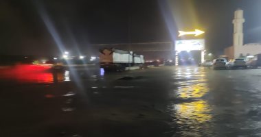 طقس الإسكندرية الآن.. هطول أمطار بالطريق الصحراوى غرب المحافظة