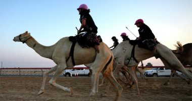 الهجن للنساء أيضا.. المرأة الإماراتية تخوض سباقات الإبل فى مضمار دبي