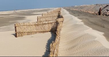 صحيفة نيجيرية: على الحكومات الأفريقية المطالبة بالعدالة المناخية فى كوب27