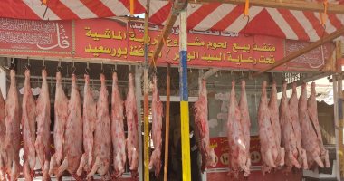 محافظ بورسعيد: محطة التسمين تحولت لمركز توزيع اللحوم على مستوى الجمهورية