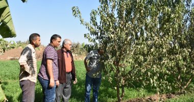 جامعة السادات تطلق قافلة بيطرية وزراعية مجانية بقرية الأخضرة ضمن "حياة كريمة"