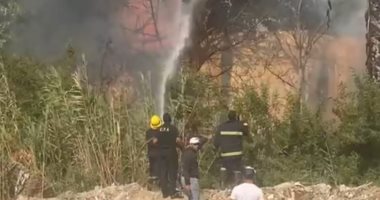 الحماية المدنية ببورسعيد تسيطر على حريق حديقة فيلا فى بورفؤاد.. صور
