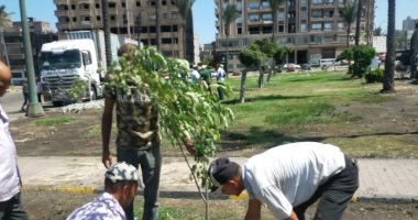  محافظ الإسكندرية: نعمل علي زيادة الأشجار المثمرة وتشجير الطرق والمحاور الرئيسية 