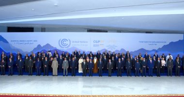 النائب كريم بدر: الرئيس السيسى حريص على خروج توصيات واضحة وفعالة لقمة المناخ