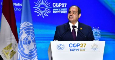 نائب عن المصرى الديمقراطى: مصر نجحت فى تنظيم مؤتمر المناخ بشكل يليق بها