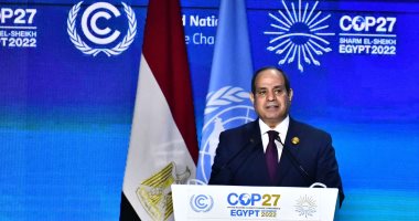 خارجية "الشيوخ": قمة المناخ حققت نجاحات كبيرة تعكس قوة وتأثير الدولة المصرية