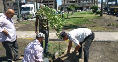 محافظ الإسكندرية: زراعة 24 ألف شجرة بالمبادرة الرئاسية "100 مليون شجرة" حتى الآن