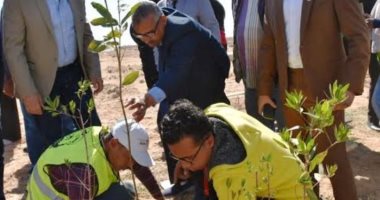 مؤسسة "هنجملها" تهدى محافظة أسوان 3 آلاف شجرة مثمرة.. صور