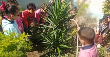 الأطفال يزرعون الأشجار بدسوق فى كفر الشيخ تفاعلا مع مؤتمر المناخ.. صور