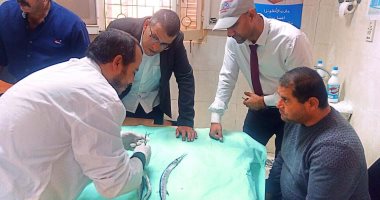 مجلس مدينة بئر العبد بشمال سيناء يكشف تفاصيل تسمم 17 شخصا نتيجة تناول أسماك