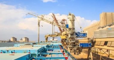 ميناء دمياط يستقبل 40 ألف طن قمح قادمة من روسيا 