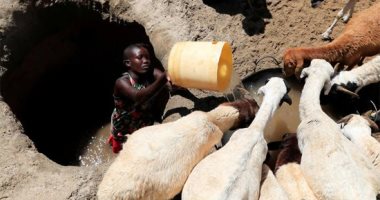 كينيا ضحية الجفاف.. خسائر فادحة في الحياة البرية بسبب التغيرات المناخية