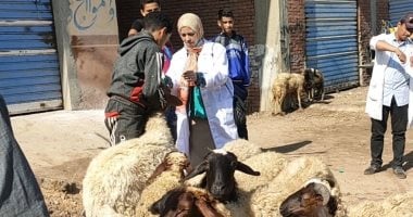 قافلة طبية بيطرية بالمجان بقرية شمبارة الطنانات فى الشرقية