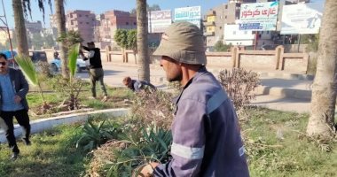 رفع المخلفات وحملات نظافة وزراعة أشجار بمدن كفر الشيخ