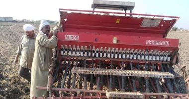 "زراعة بورسعيد": بداية حصاد محصول القمح أول أبريل.. اعرف تفاصيل الاستعدادات 