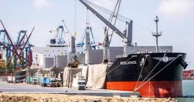ميناء دمياط يستقبل 27 ألف طن قمح قادمة من روسيا