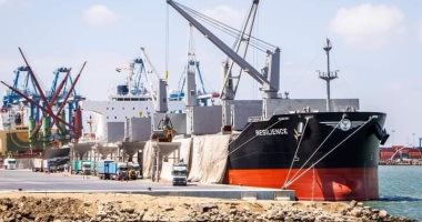 ميناء دمياط يستقبل 59 ألف طن قمح قادمة من روسيا 