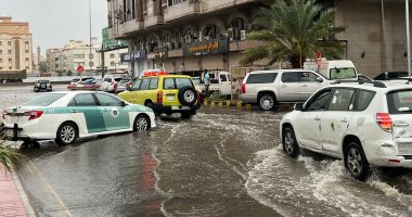 السعودية نيوز | 
                                            السعودية.. أمطار متوسطة إلى خفيفة تضرب محافظة جدة
                                        