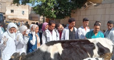 جامعة جنوب الوادى تنظم قافلة طبية بيطرية بنجع العروبة في قرية البراهمة