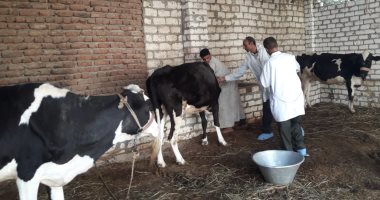 الزراعة: 3186 قافلة بيطرية مجانية لعلاج رؤوس الماشية فى قرى مصر 
