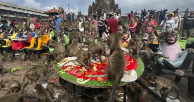 وليمة ضخمة من المأكولات والفواكه للقردة فى عيدهم السنوى بتايلاند.. فيديو وصور