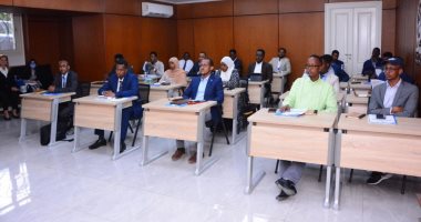 صحفي صومالى يشيد بدور مصر الكبير الداعم لاتحاد الصحفيين الصوماليين