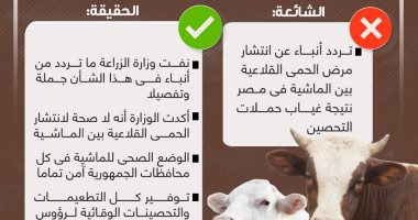 خليك واعى..  لا صحة لانتشار الحمى القلاعية بين الماشية فى مصر (إنفوجراف)