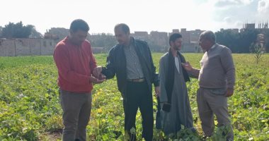 جامعة السادات تطلق قافلة بيطرية وزراعية مجانية بقرية دمليج ضمن "حياة كريمة"