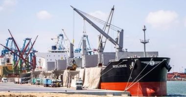 ميناء دمياط يستقبل 7 سفن متنوعة خلال 24 ساعة 