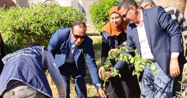 محافظة جنوب سيناء تبدأ زراعة 70 ألف شجرة.. صور