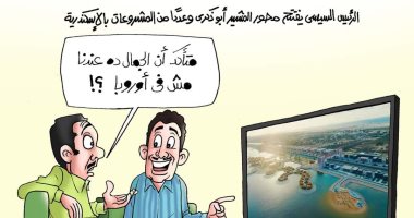 محور المشير فؤاد أبو ذكرى في كاريكاتير "اليوم السابع"