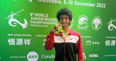 مصر تحصد أول ميدالية فى بطولة العالم للكونغ فو 