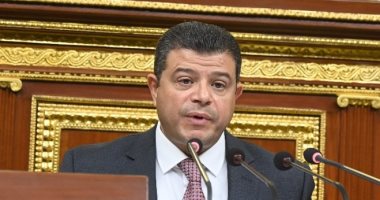 رئيس اقتصادية النواب: القيادة المصرية انتصرت للشعب الفلسطينى فى اتفاق الهدنة