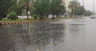 السعودية نيوز | 
                                            الأرصاد السعودية: هطول أمطار رعدية على محافظات الطائف وميسان واضم
                                        