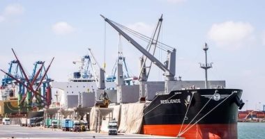 ميناء دمياط: حركة الصادر من البضائع العامة 17 ألف طن