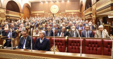 مجلس الشيوخ يقر حذف "فرض رسم إضافى على الخدمة" بقانون صندوق مصر الرقمية