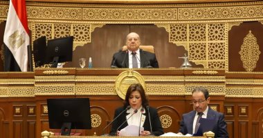 مجلس الشيوخ يقر المادة المنظمة لاختصاصات صندوق مصر الرقمية