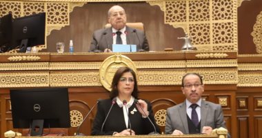 مجلس الشيوخ يوافق على المادة المنظمة لأهداف صندوق مصر الرقمية