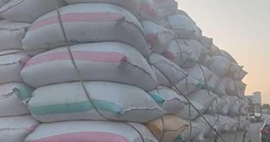 التحفظ على 21 طن أرز شعير قبل تهريبها خارج بورسعيد
