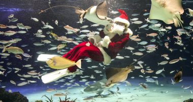مغامرات بابا نويل فى البحار.. سانتا كلوز يقدم الهدايا للأسماك فى طوكيو