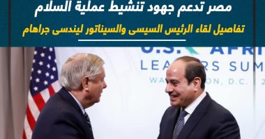 مصر تدعم جهود تنشيط عملية السلام.. تفاصيل لقاء الرئيس السيسى والسيناتور ليندسى جراهام (إنفوجراف)