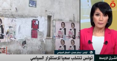 محلل سياسى تونسى: الانتخابات البرلمانية آخر مرحلة من مراحل تنفيذ المشروع السياسى