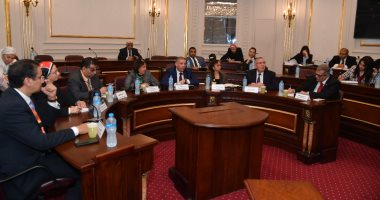 "طاقة النواب": مناقشة اتفاقية تنمية قطاع الهيدروجين الأخضر بين مصر وفرنسا