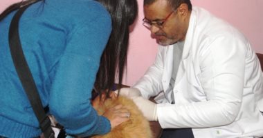 مبادرة تطوعية لعلاج الحيوانات الأليفة بالتعاون مع الطب البيطرى فى أسوان