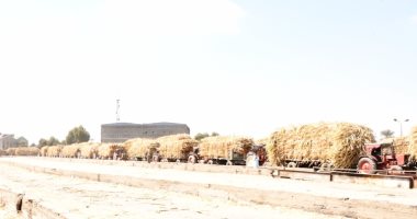 مصانع كوم أمبو وإدفو تستعد لاستقبال حصاد 88 ألف فدان من محصول القصب